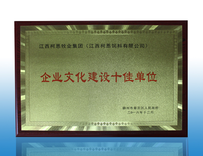 pg电子官方网站建设十佳单位