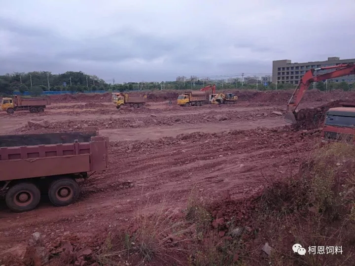 柯恩牧业总部基地破土动工——柯恩事业发展谱新篇